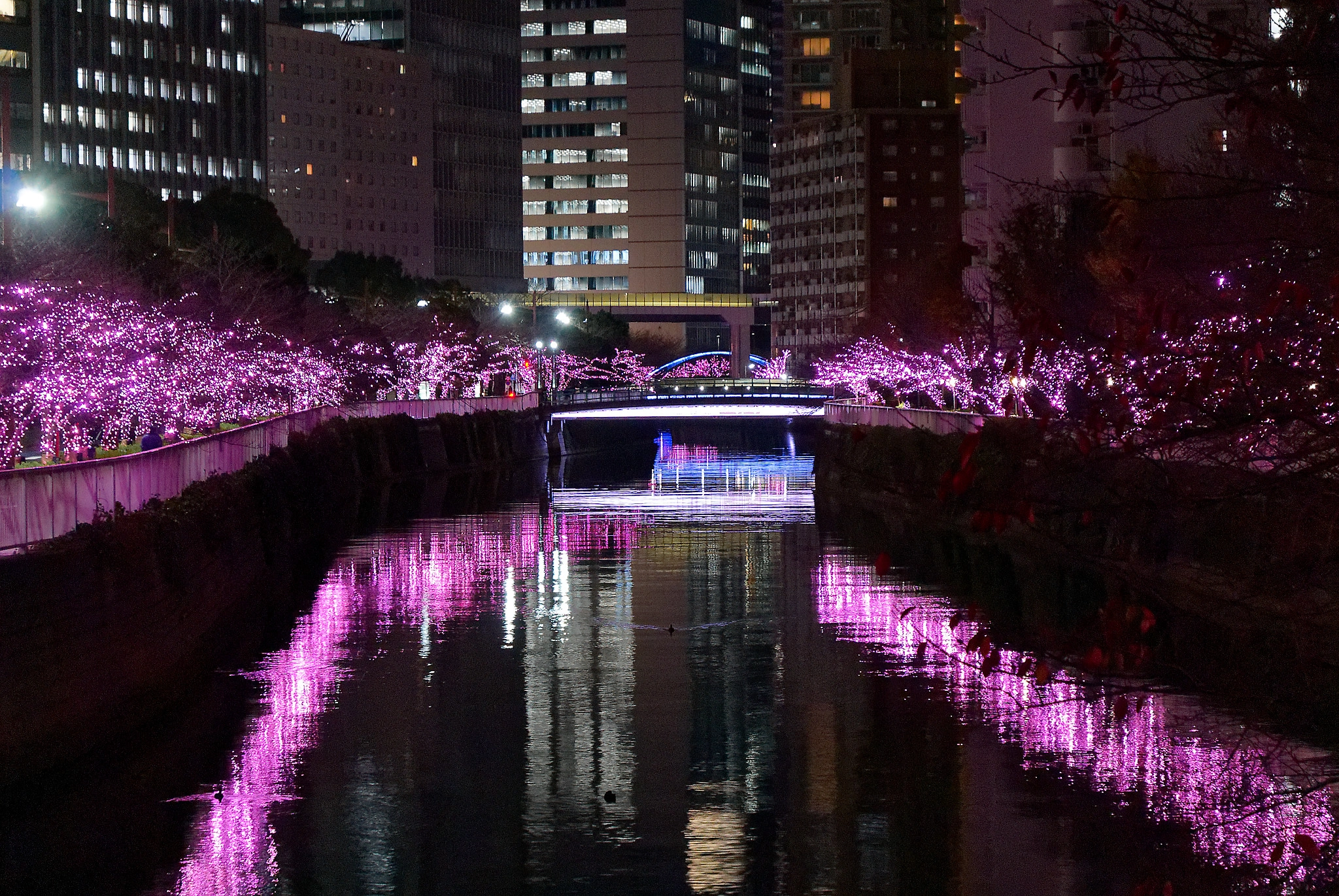 目黒川みんなのイルミネーション